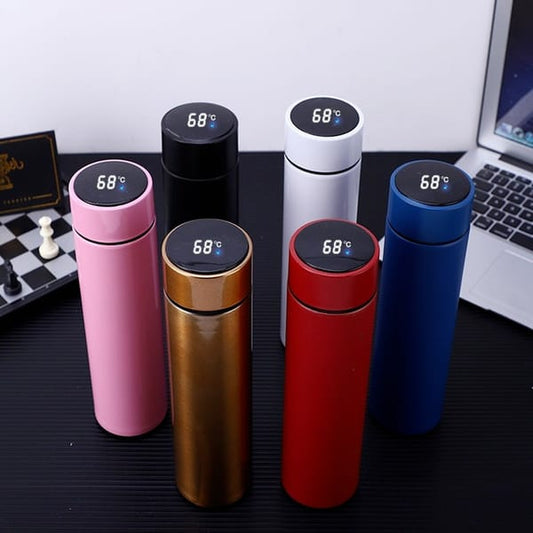 Stainless Steel Water Bottle with LED Temperature Display - 500ml (Random Color)