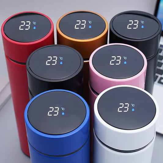 Stainless Steel Water Bottle with LED Temperature Display - 500ml (Random Color)